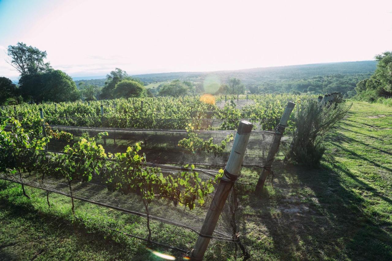 Cabana Sol Finca Pu Duam Вилья-Хенераль-Бельграно Экстерьер фото